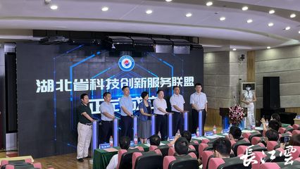 湖北省科技創(chuàng)新服務聯(lián)盟在武漢成立，共筑網絡技術服務新生態(tài)